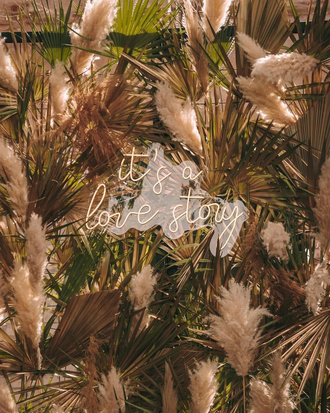Warm white LED neon name sign among pampas grass