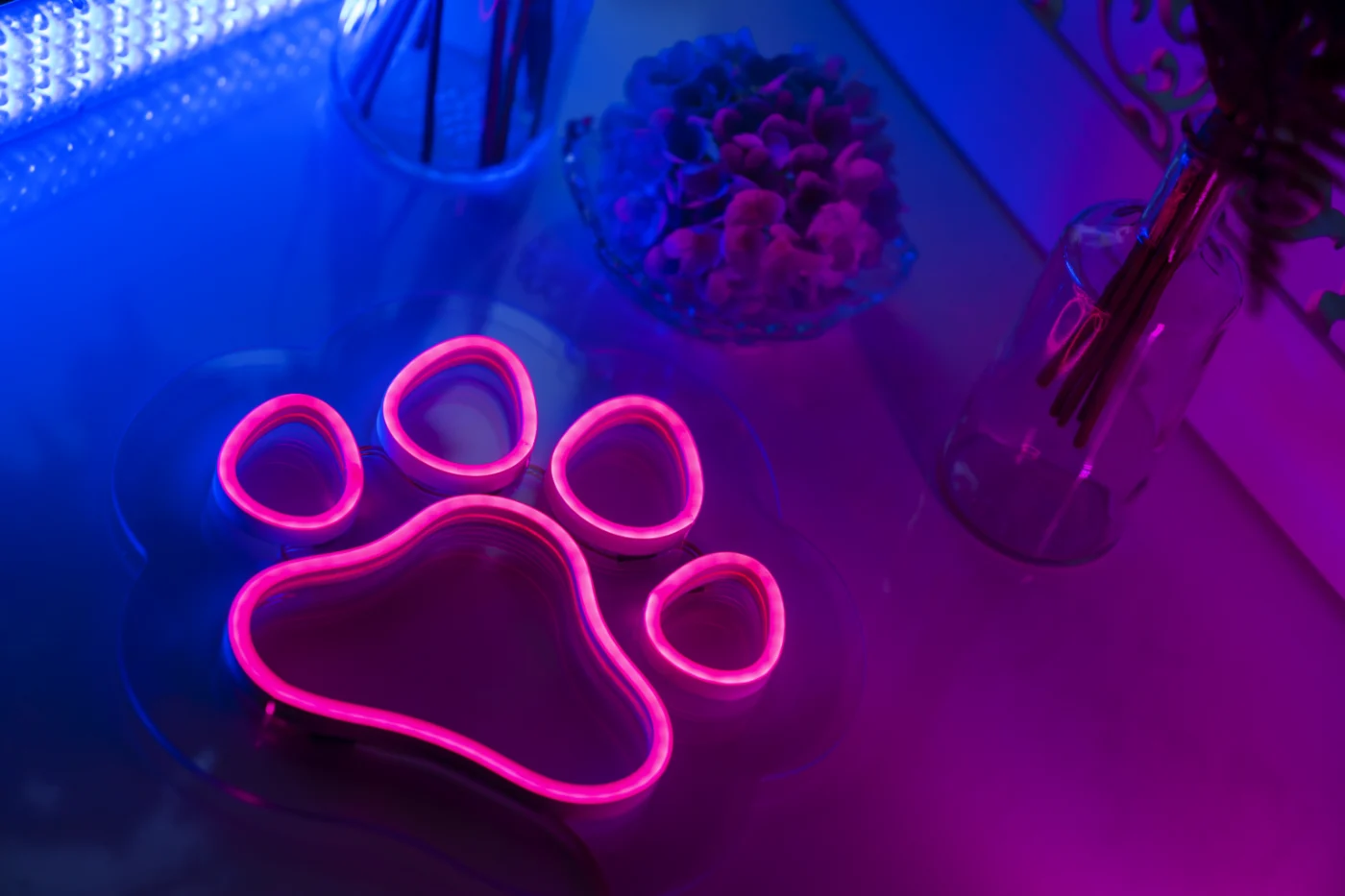 Pink LED neon paw print sign