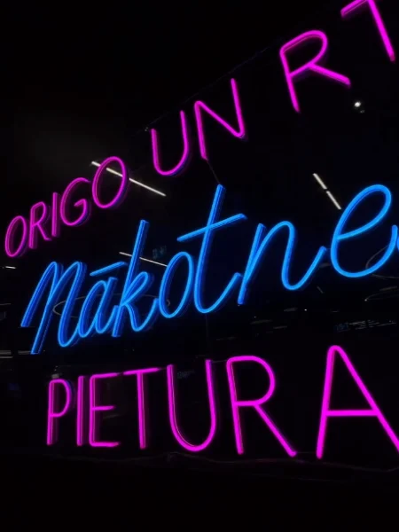 Large pink and blue LED neon lettering installation